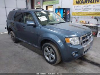  Salvage Ford Escape