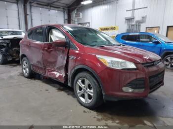  Salvage Ford Escape