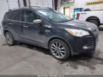  Salvage Ford Escape