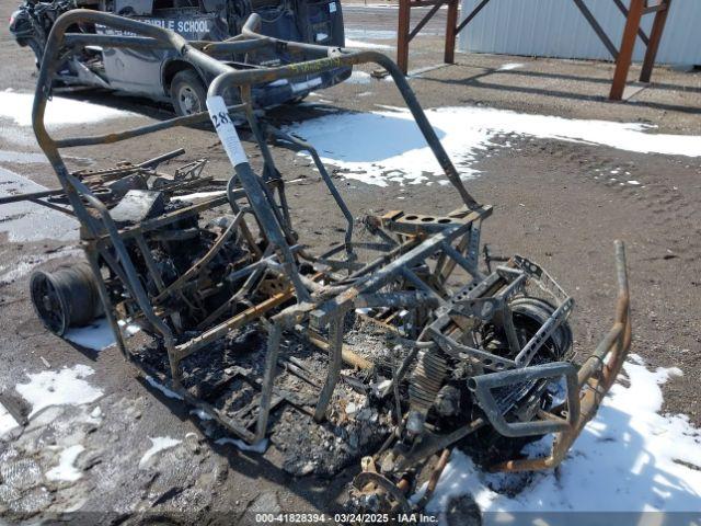  Salvage Polaris RZR