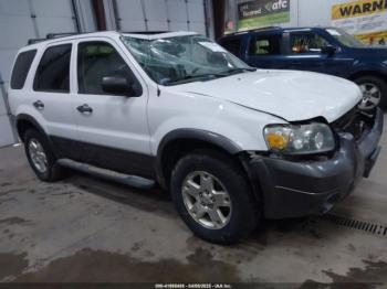  Salvage Ford Escape