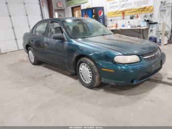  Salvage Chevrolet Malibu
