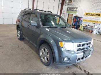  Salvage Ford Escape