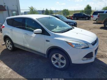  Salvage Ford Escape