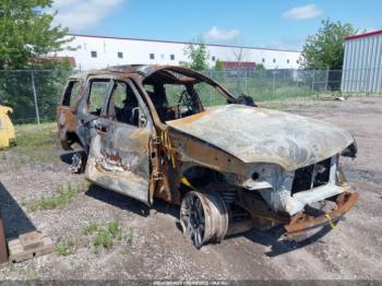  Salvage Mercury Mountaineer