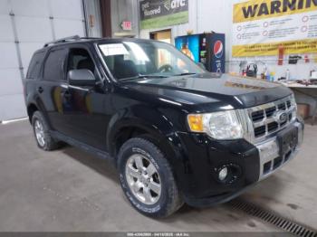  Salvage Ford Escape