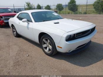  Salvage Dodge Challenger