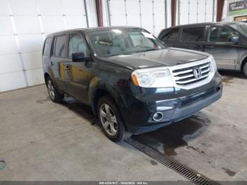  Salvage Honda Pilot