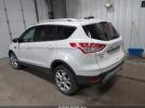 Ford Escape Titanium Image 5