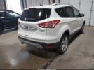 Ford Escape Titanium Image 4