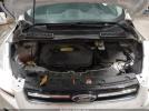 Ford Escape Titanium Image 3