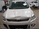 Ford Escape Titanium Image 14