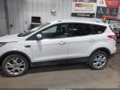 Ford Escape Titanium Image 16