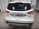 Ford Escape Titanium Image 2