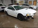 Ford Mustang Image 1