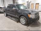 Ford F-150 Platinum Image 1