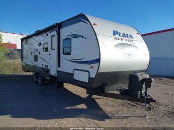  Salvage Palomino Other