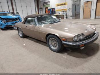  Salvage Jaguar Xjs