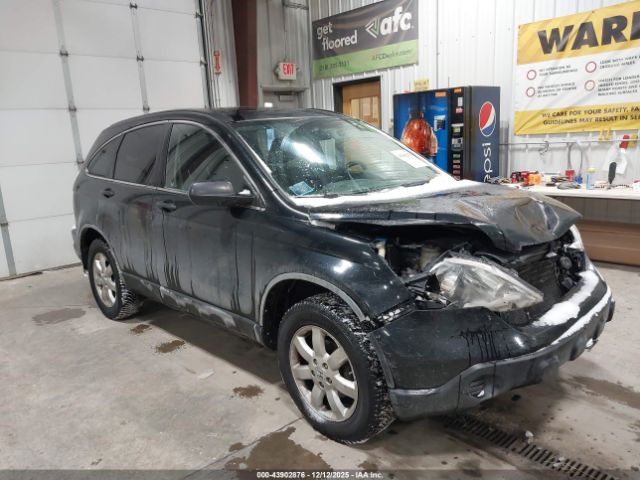 Honda CR-V Ex Image 1