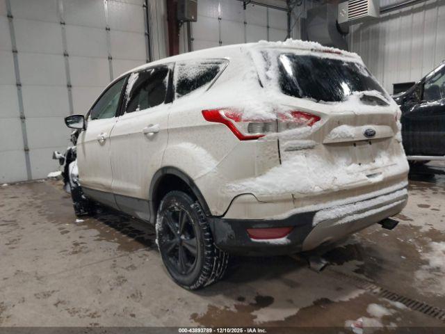 Ford Escape Se Image 3