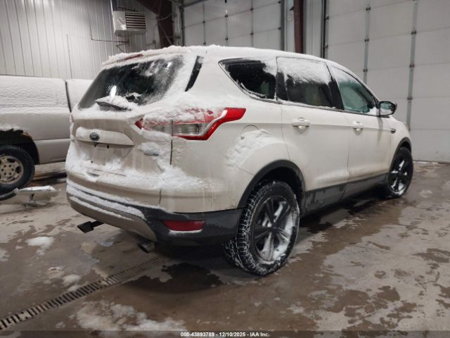 Ford Escape Se Image 11