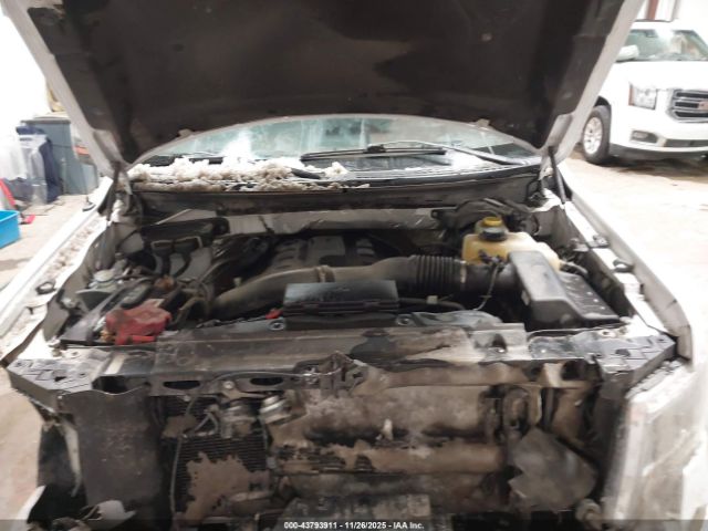 Ford F-150 King Ranch Image 11