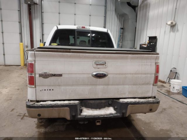 Ford F-150 King Ranch Image 10