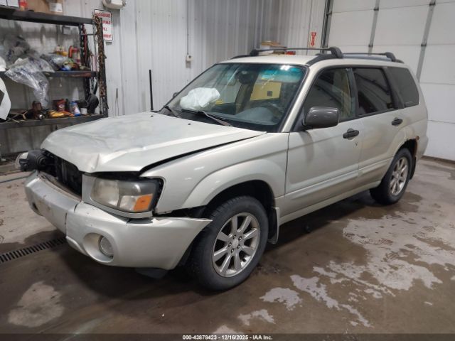Subaru Forester 2.5xs Image 4