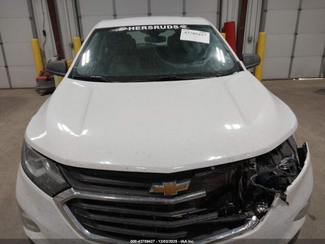 Chevrolet Equinox Ls Image 12