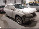 Lexus RX Image 1