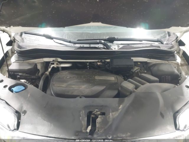 Honda Pilot Elite Image 7