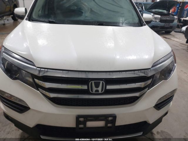 Honda Pilot Elite Image 8