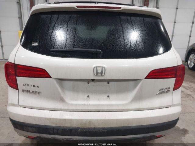 Honda Pilot Elite Image 11