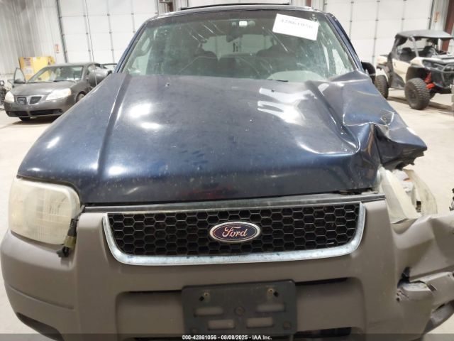 Ford Escape Xlt Image 16