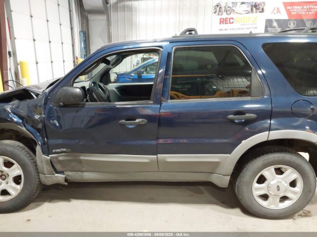 Ford Escape Xlt Image 7