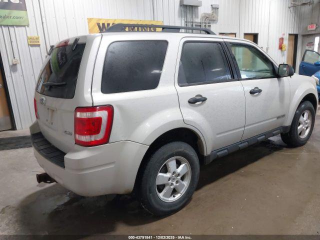 Ford Escape Xlt Image 2