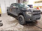 Ford F-150 Platinum Image 1