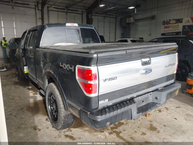 Ford F-150 Platinum Image 3