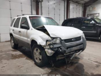  Salvage Ford Escape