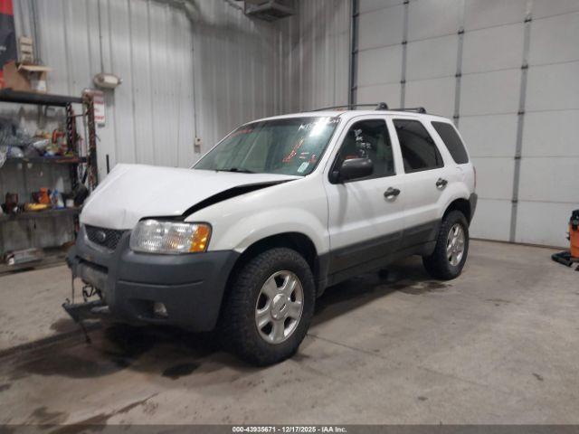 Ford Escape Xlt Image 3