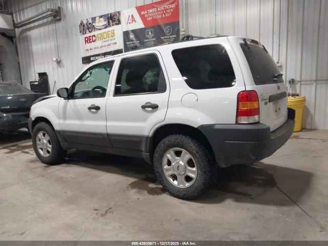 Ford Escape Xlt Image 10