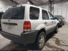 Ford Escape Xlt Image 7