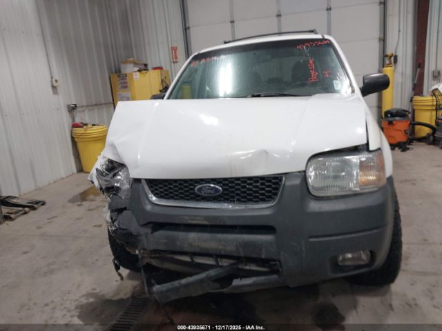 Ford Escape Xlt Image 12